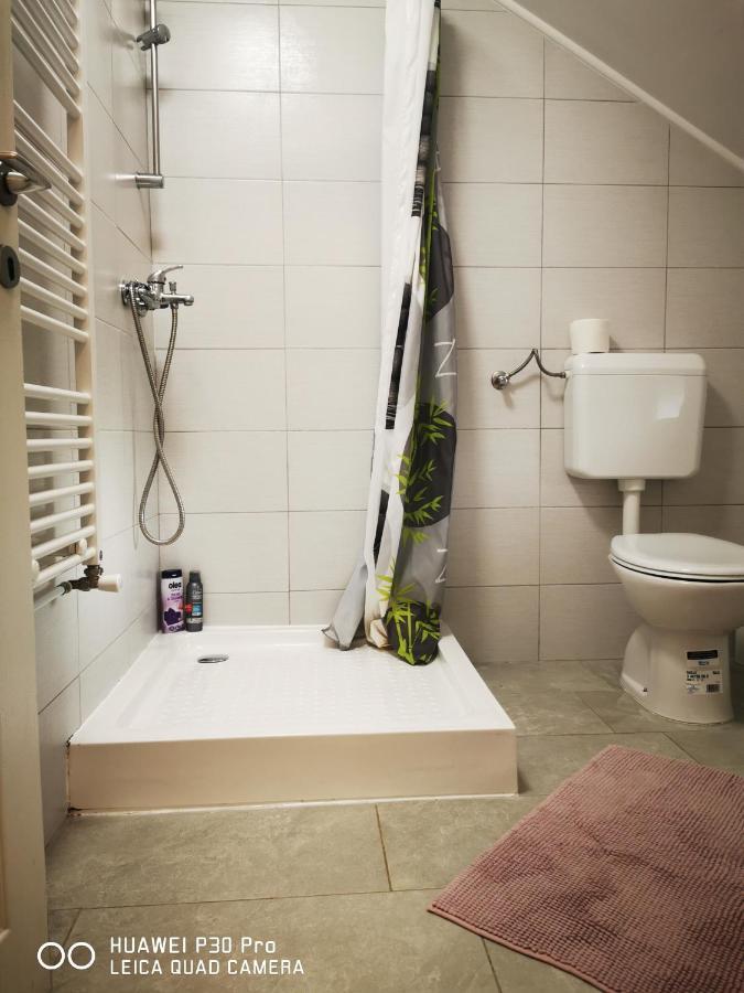 Vila Julija - Apartment & Rooms Otočac Eksteriør billede