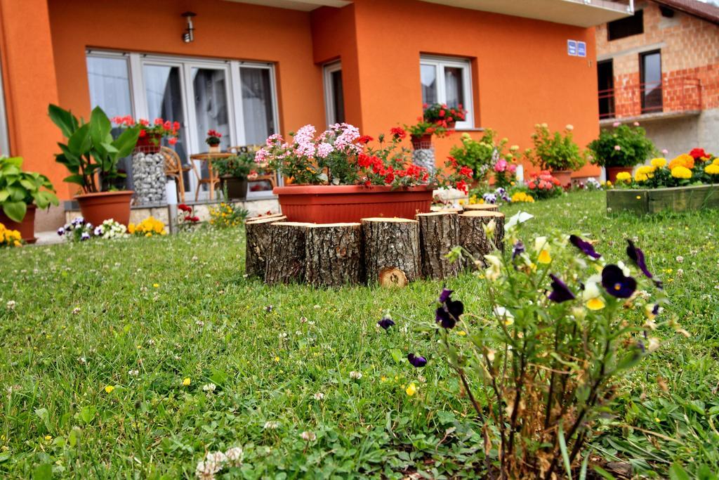 Vila Julija - Apartment & Rooms Otočac Eksteriør billede
