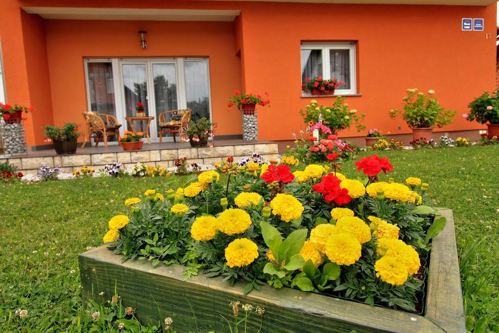Vila Julija - Apartment & Rooms Otočac Eksteriør billede