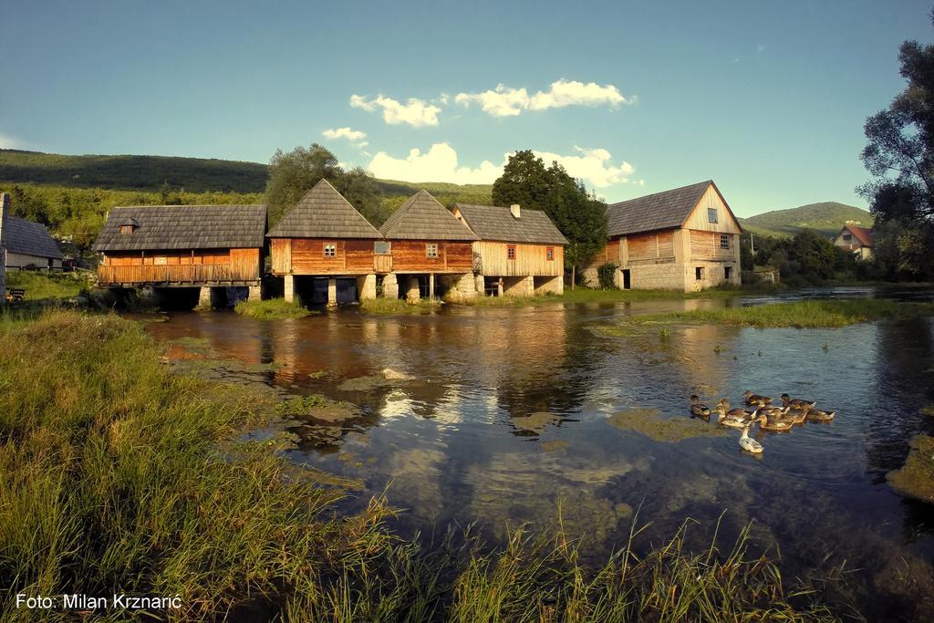 Vila Julija - Apartment & Rooms Otočac Eksteriør billede